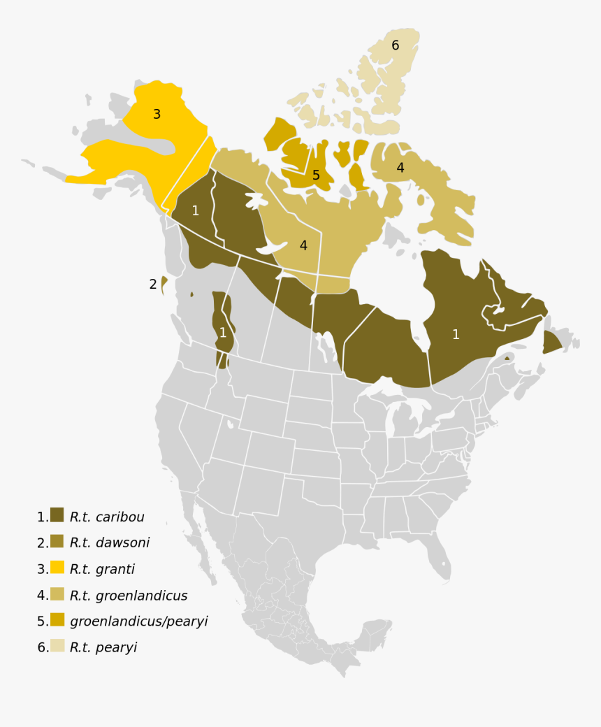 Caribou Range North America , Png Download - Caribou Range North America, Transparent Png