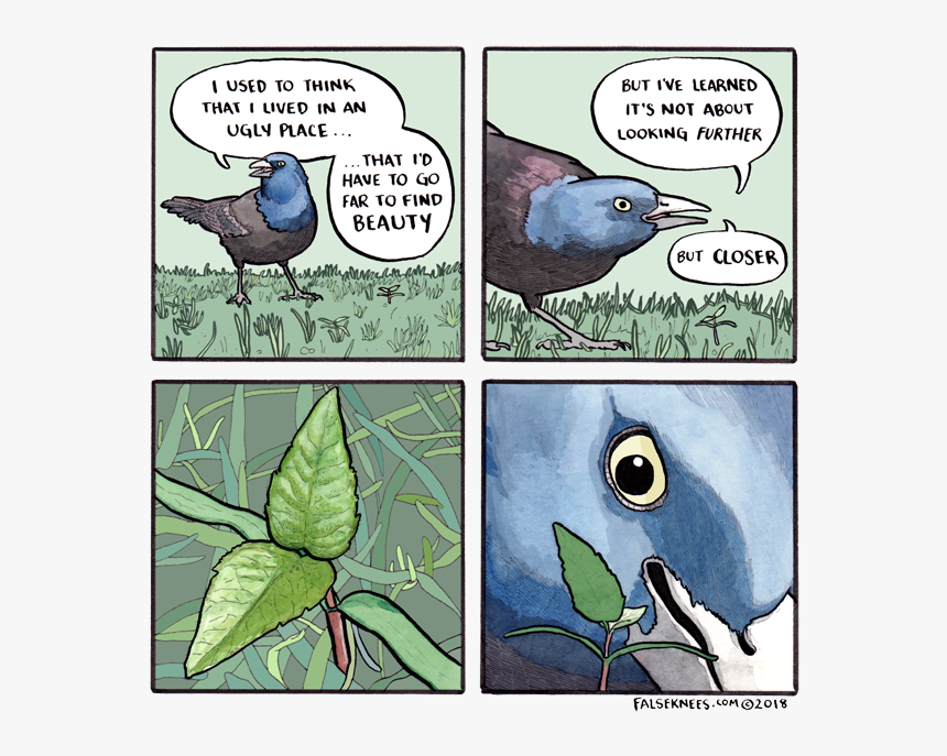 False Knees Bird Comic, HD Png Download