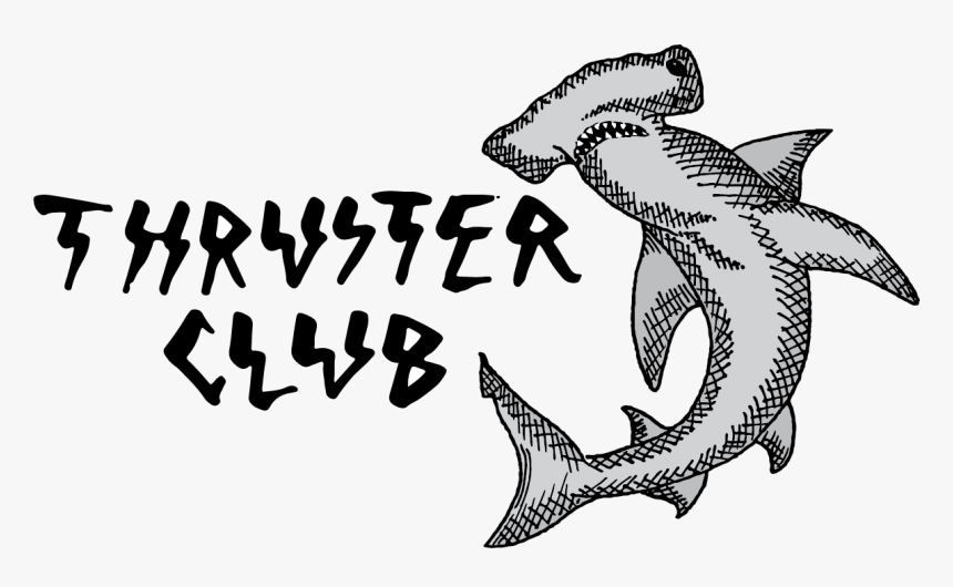 Carcharhiniformes, HD Png Download