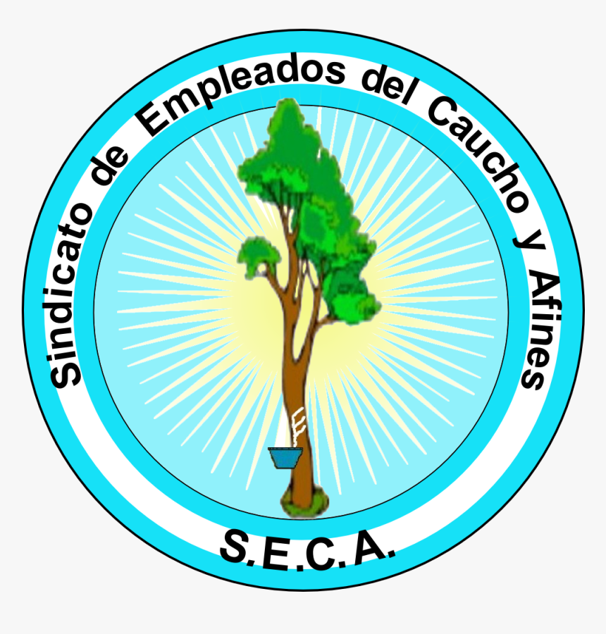 Logo S - E - C - A - - Circle, HD Png Download