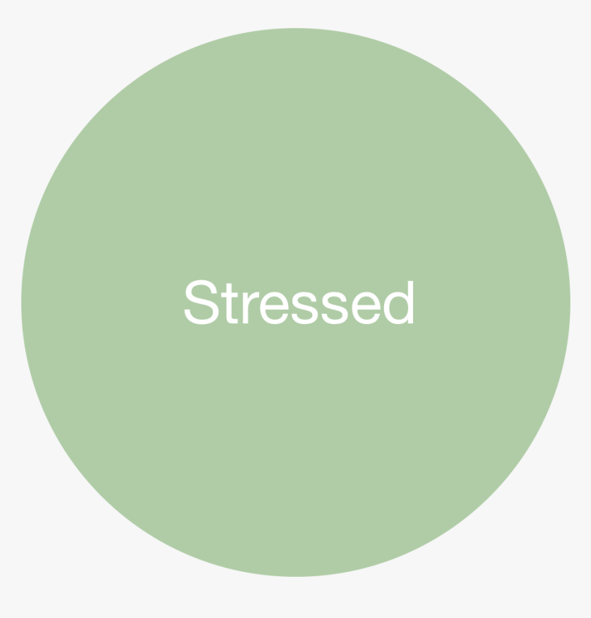 Camera Icon, HD Png Download