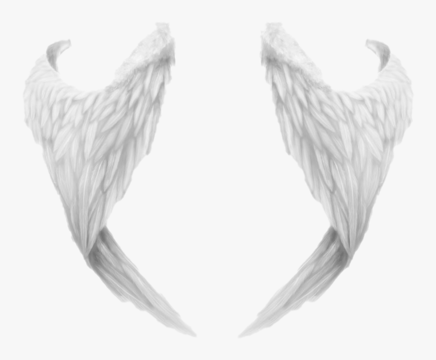 Angel Wings Png File - ادوات تصميم مقصوصه, Transparent Png