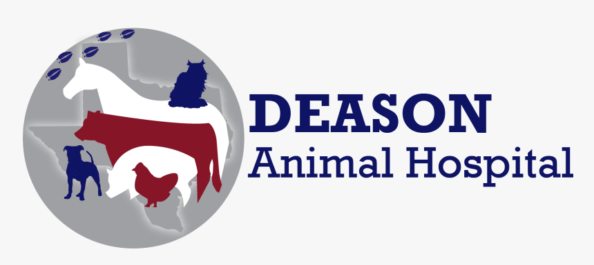 Stevens, Veterinarian At Deason Animal Hospital In - Graphic Design, HD Png Download