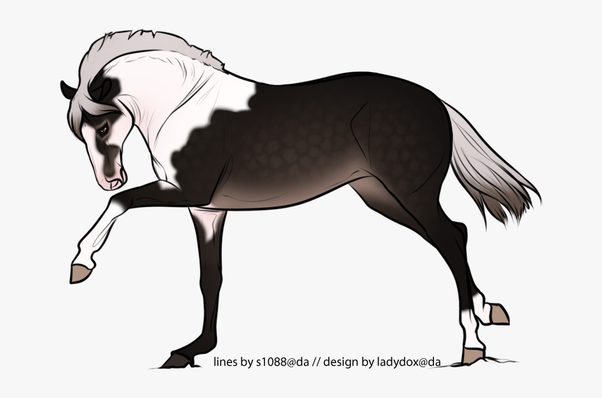 Stallion, HD Png Download