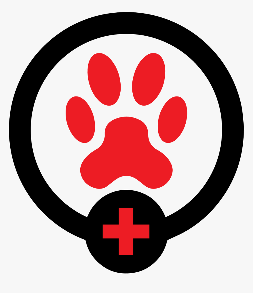 Vet On 4th Logo - The Vet On 4th, HD Png Download