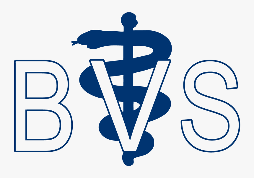 Brink Veterinary Service - Veterinary Symbol, HD Png Download