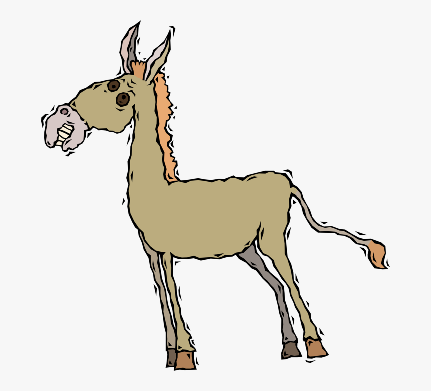 Vector Illustration Of Jackass Male Donkey Ass Domesticated, HD Png Download