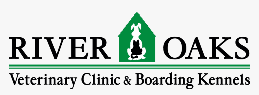 Coming Soon, HD Png Download