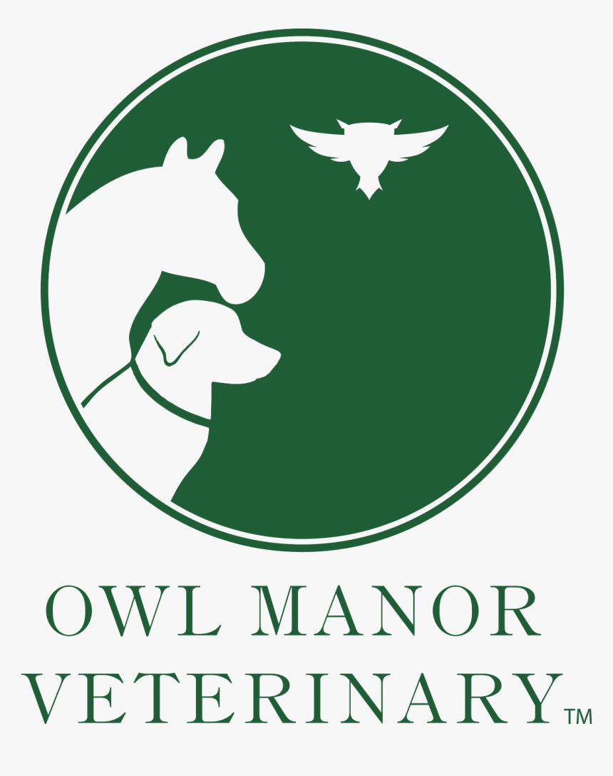 Poster, HD Png Download