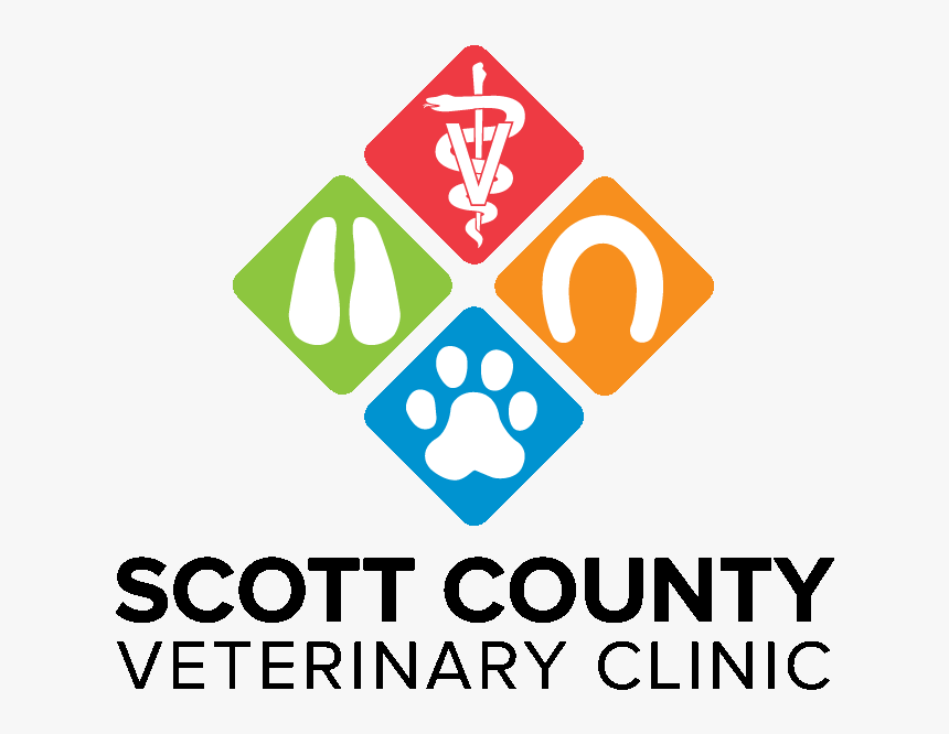 Broken Seals, HD Png Download