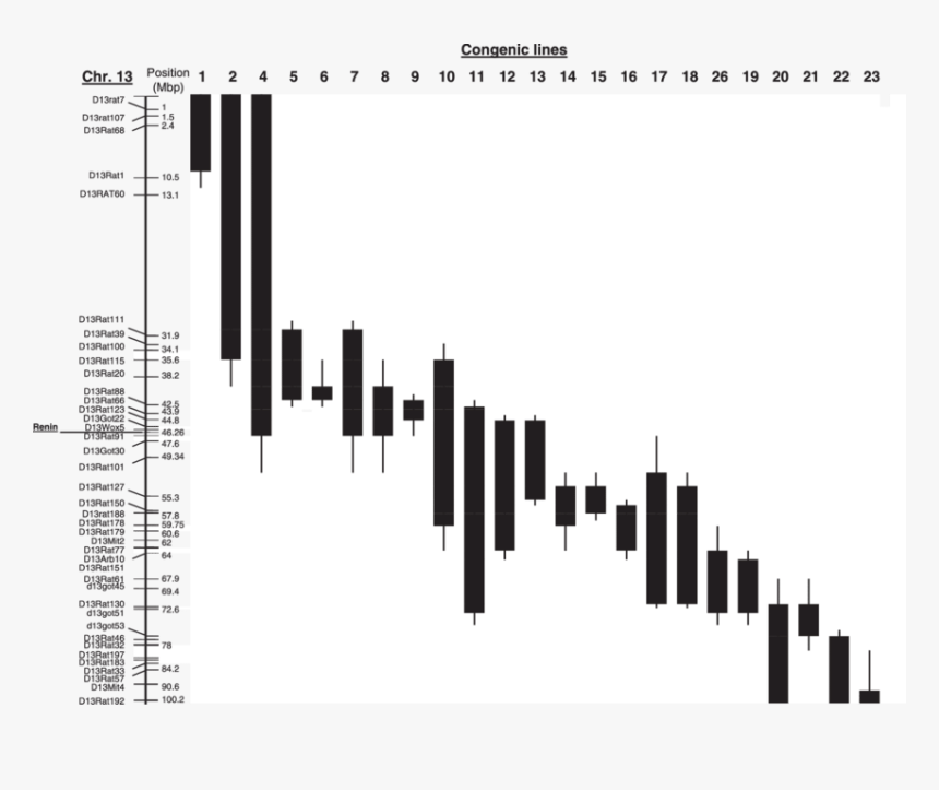 Screenshot, HD Png Download