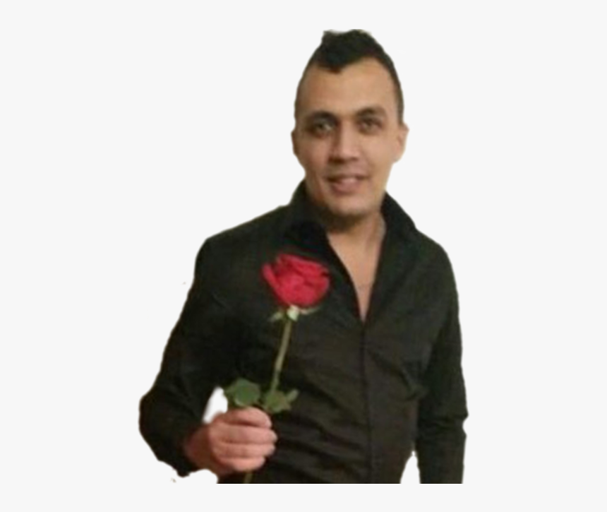 Thumb Image - Garden Roses, HD Png Download