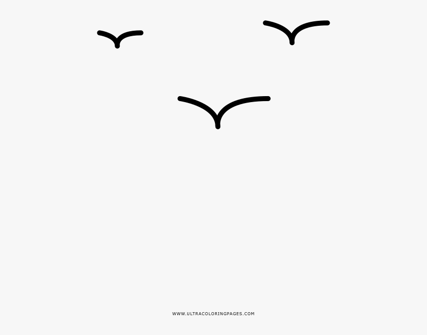 Birds Coloring Page, HD Png Download