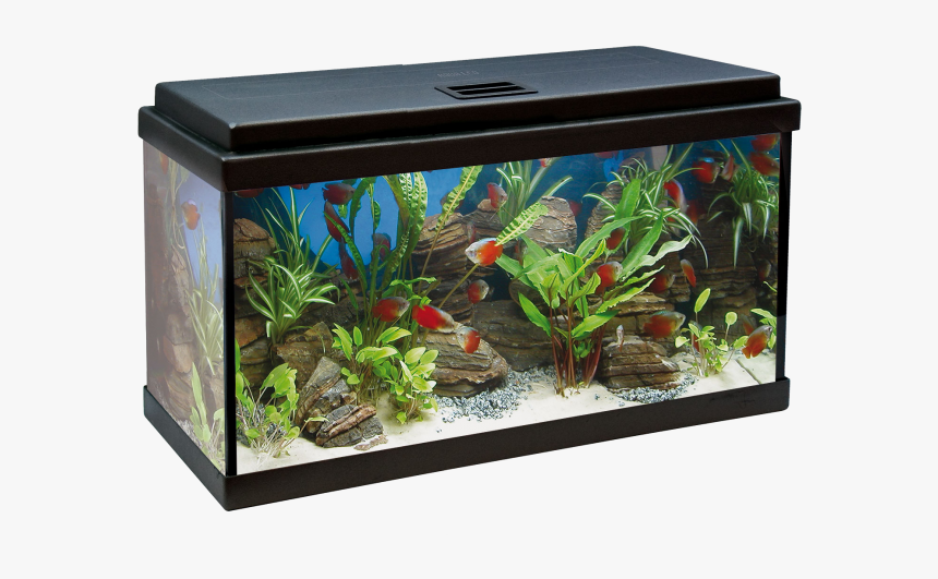 Acuario Aqualed 64l - Acuario De 100 Litros Medidas, HD Png Download