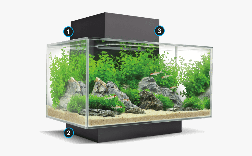 Fluval Edge Aquarium, HD Png Download