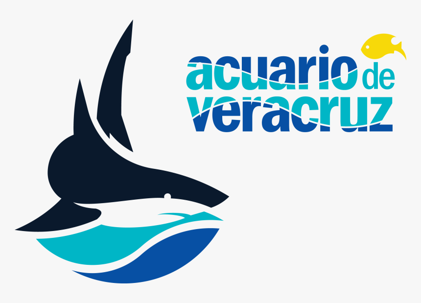 Acuario De Veracruz, HD Png Download
