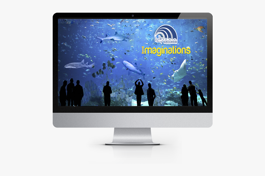 Georgia Aquarium, HD Png Download