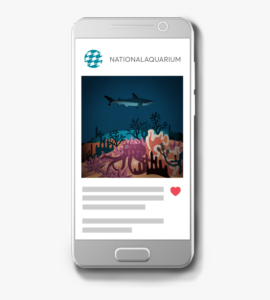 Phone-ig - Swordfish, HD Png Download
