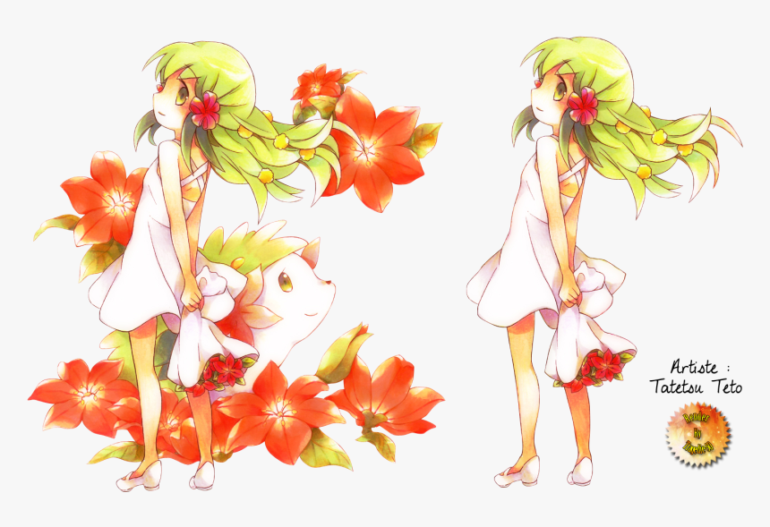 Pokemon Shaymin Anime, Hd Png Download , Png Download - Render Manga, Transparent Png