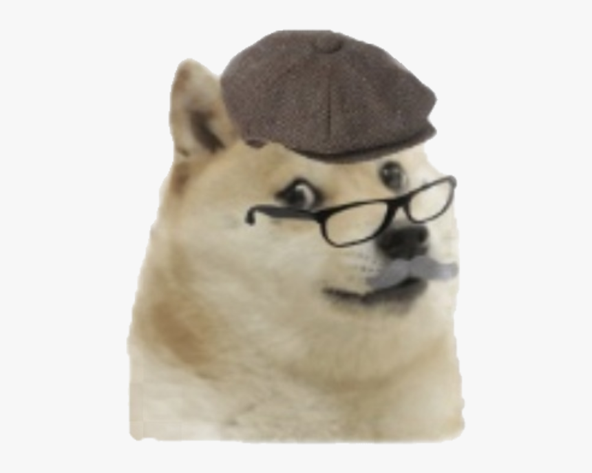 Snout, HD Png Download