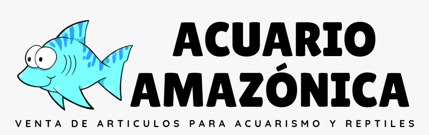 Acuario Amazonica Online, HD Png Download