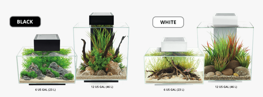 Fluval Edge, HD Png Download