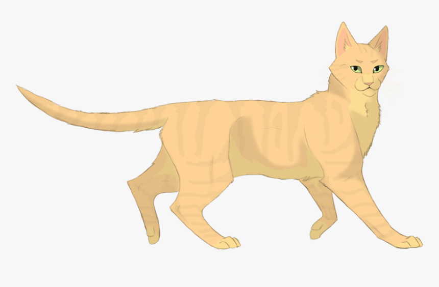 Images De Tempête De Sable - Warrior Cats Sandstorm Png, Transparent Png