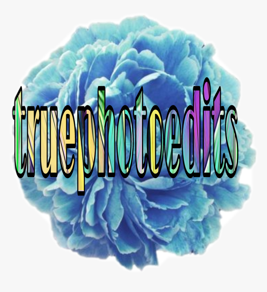 #flower #dontsteal - Laptop Cute Flower Stickers, HD Png Download