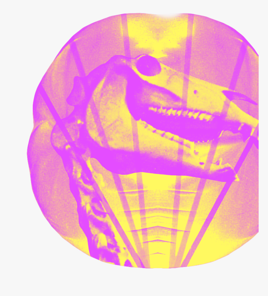 Graphic Design, HD Png Download