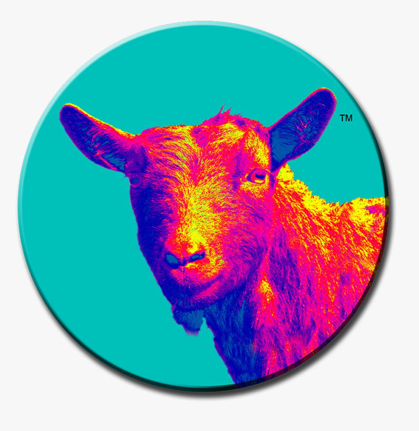Stacy Goat Pins No Type 10 - Sheep, HD Png Download