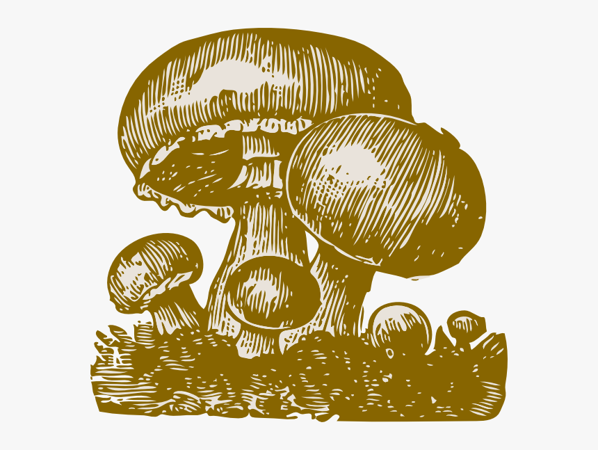 Mushroom Illustration Svg Clip Arts - Mushroom Public Domain Art, HD Png Download