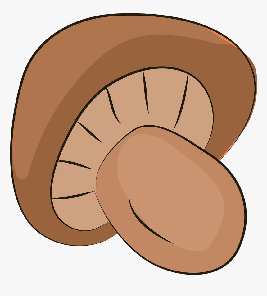 Clip Art, HD Png Download