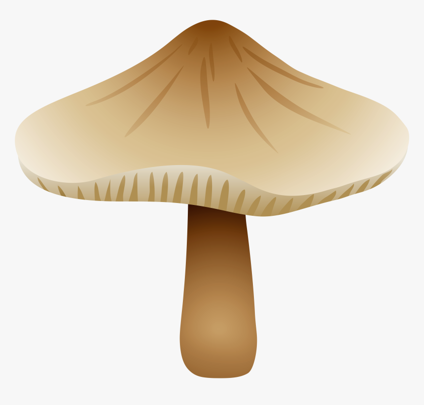 Mushroom Xerula Radicata Png Clipart - Russula Integra, Transparent Png