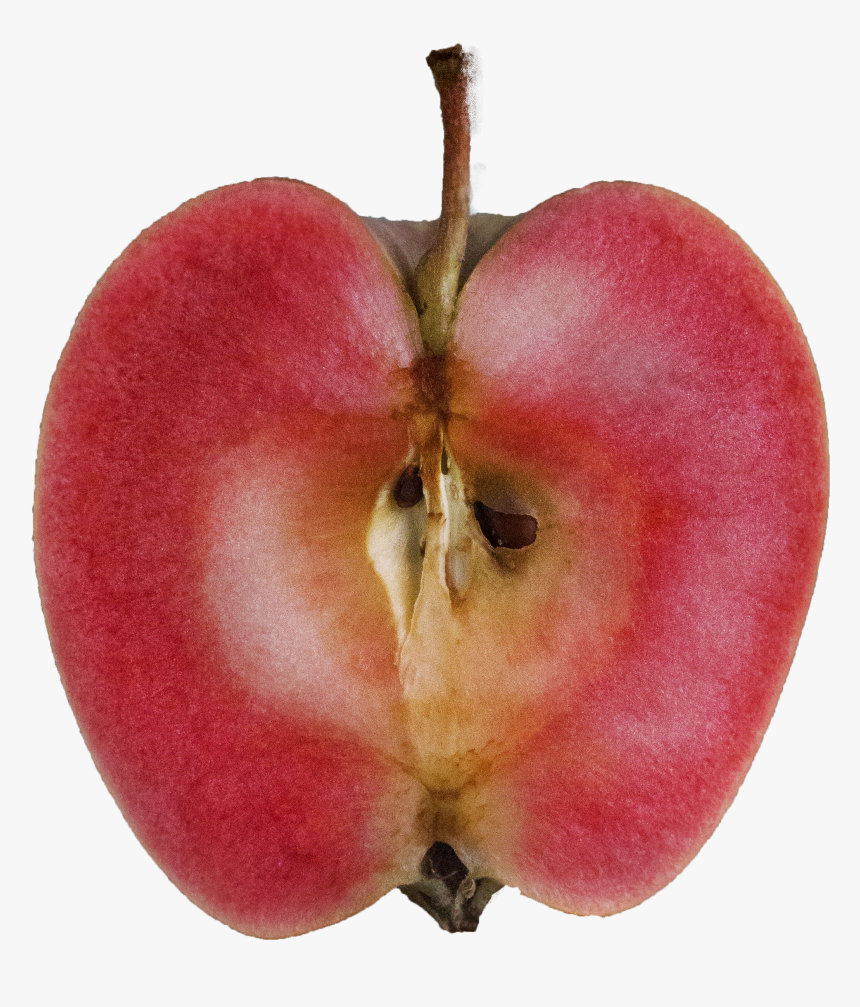 Mountain Rose Apples, HD Png Download
