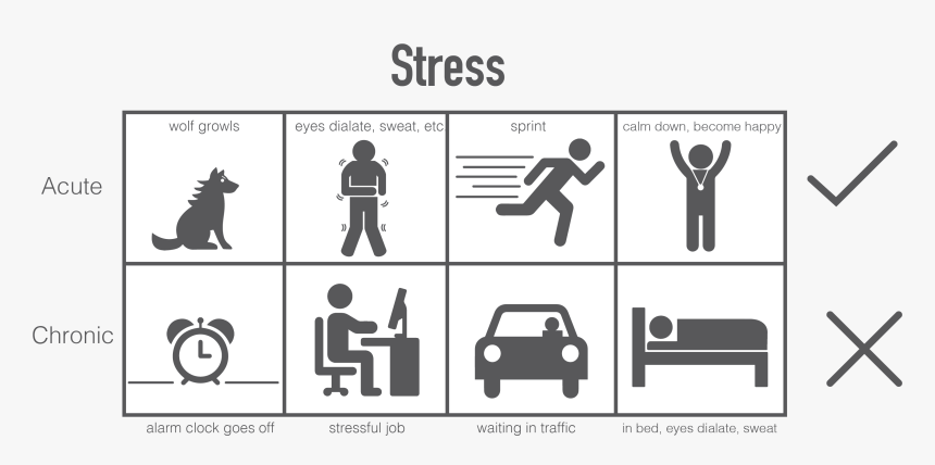 Graphic Design, HD Png Download