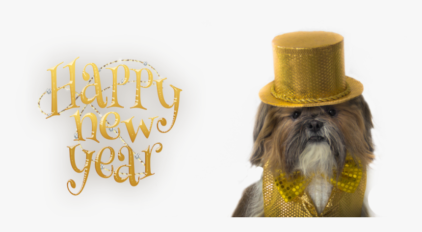 Happy New Year - Shih Tzu, HD Png Download