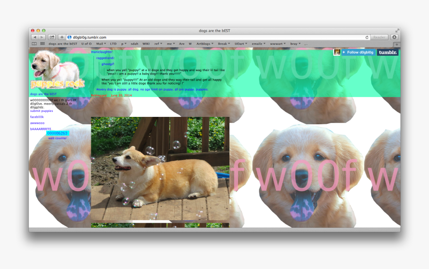 Labrador Retriever, HD Png Download