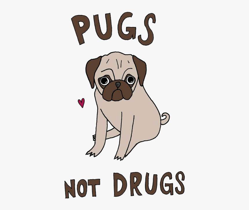 Dog And Pug Image - Pug, HD Png Download
