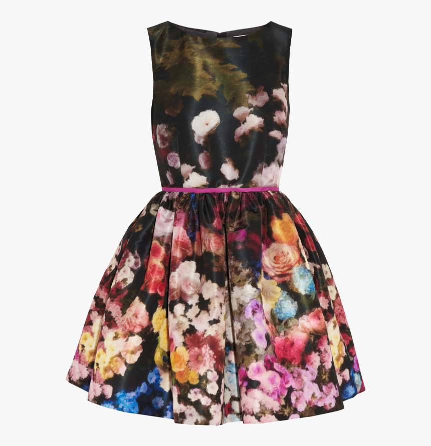 Red Valentino Floral Print Taffeta Dress - Red Valentino Floral Dress, HD Png Download
