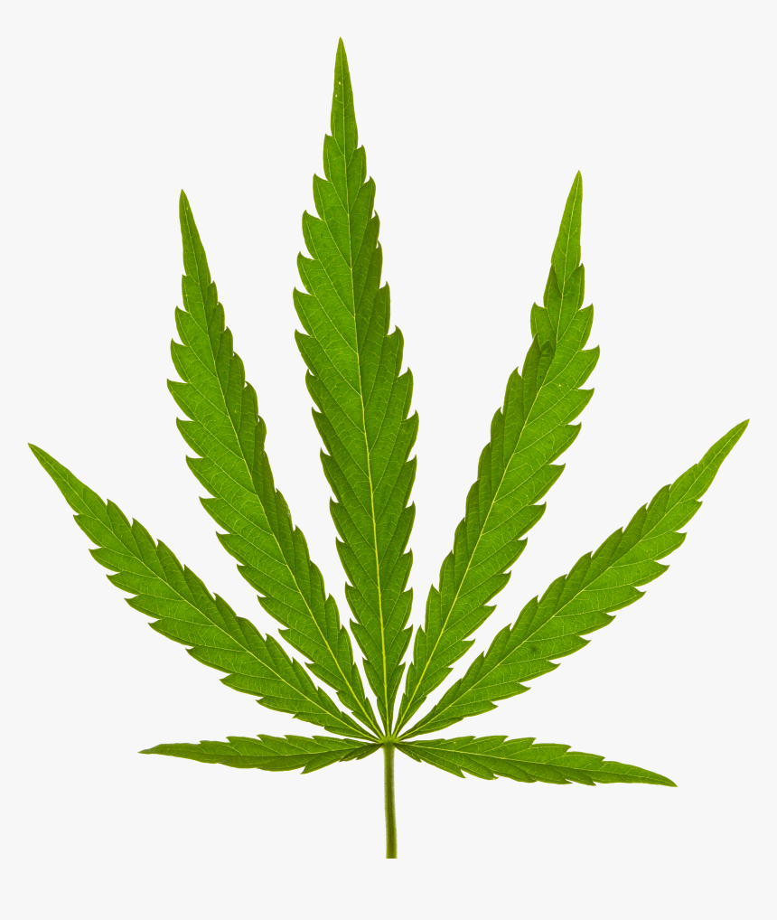 Marijuana Leaf, HD Png Download