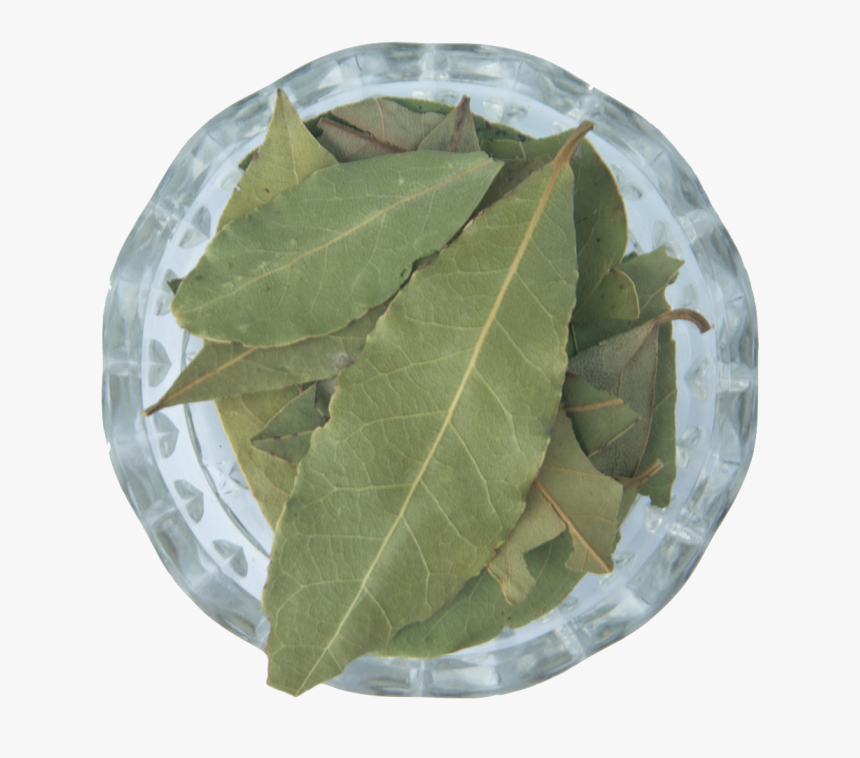 Leaf, HD Png Download