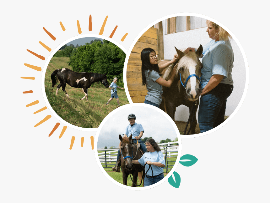 Home-circles - Capitano Di Corvetta, HD Png Download