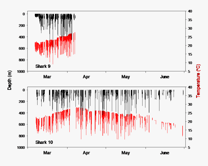 Plot, HD Png Download