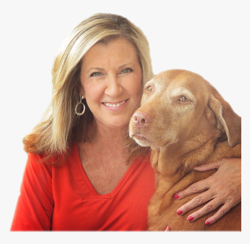 Image-609 - Companion Dog, HD Png Download