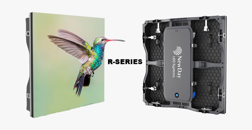 R-series - Jacamar, HD Png Download