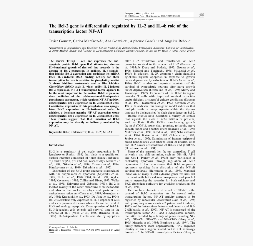 Document, HD Png Download