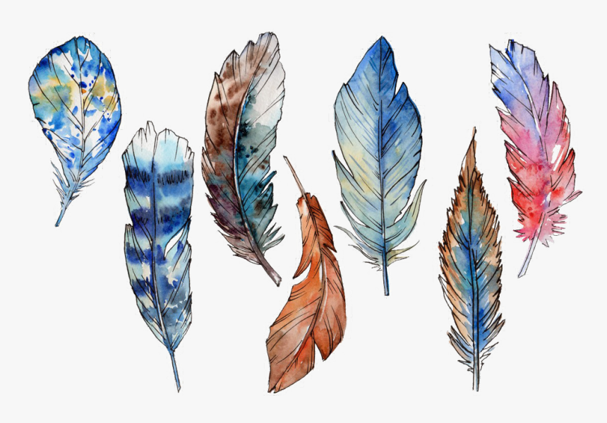 #feather #feathers #boho #bohostyle #bohofeathers #watercolor, HD Png Download