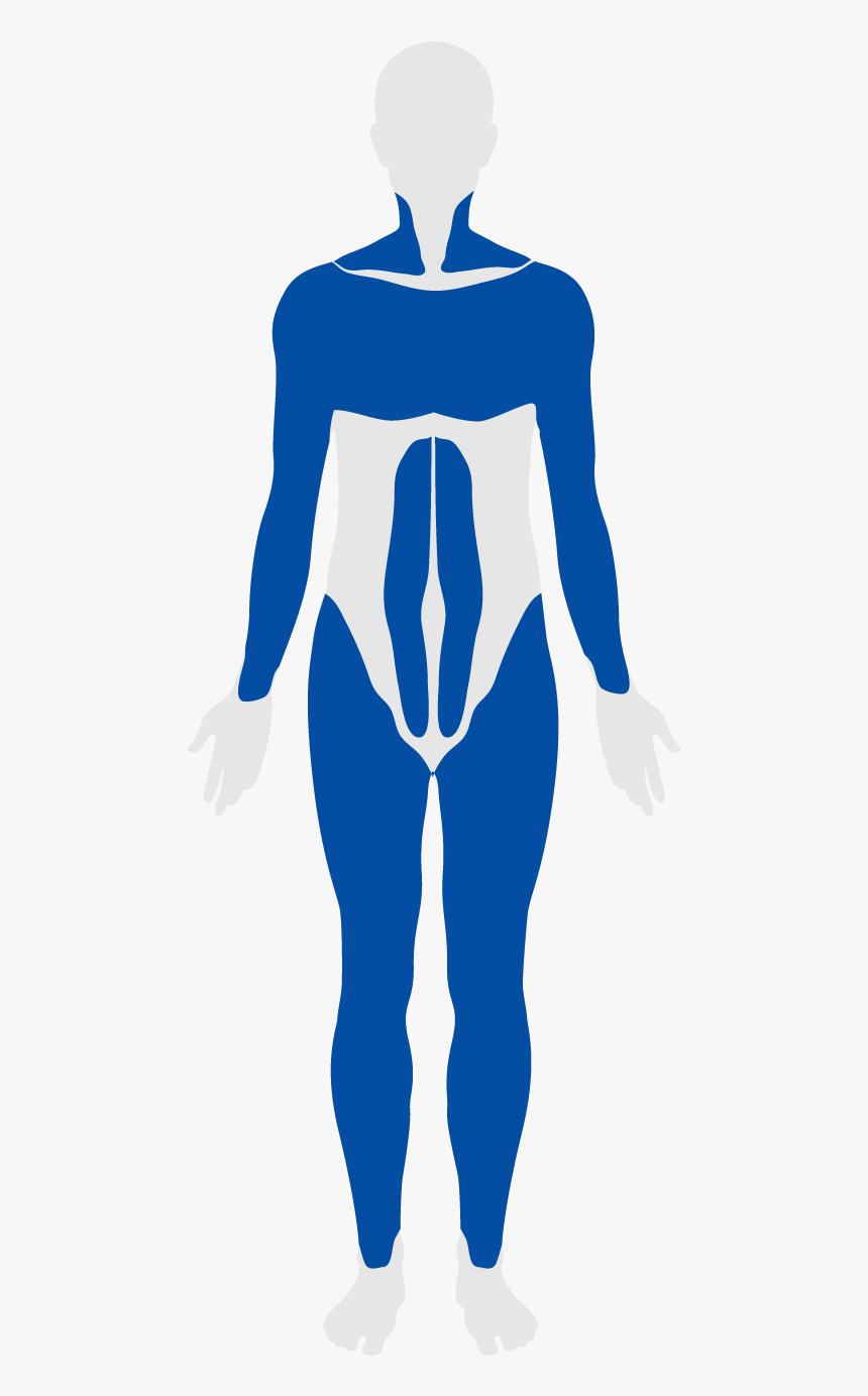 Clip Art, HD Png Download