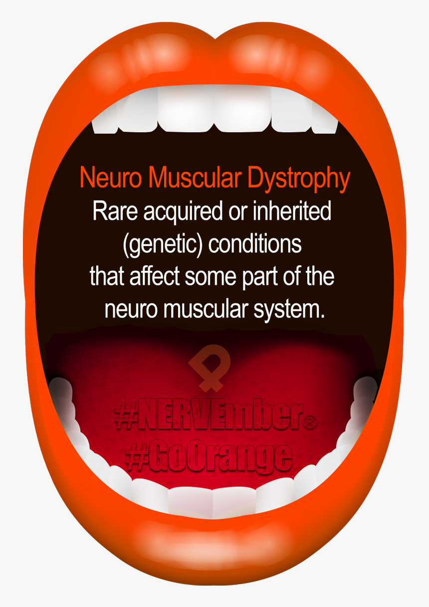 Transverse Myelitis, HD Png Download