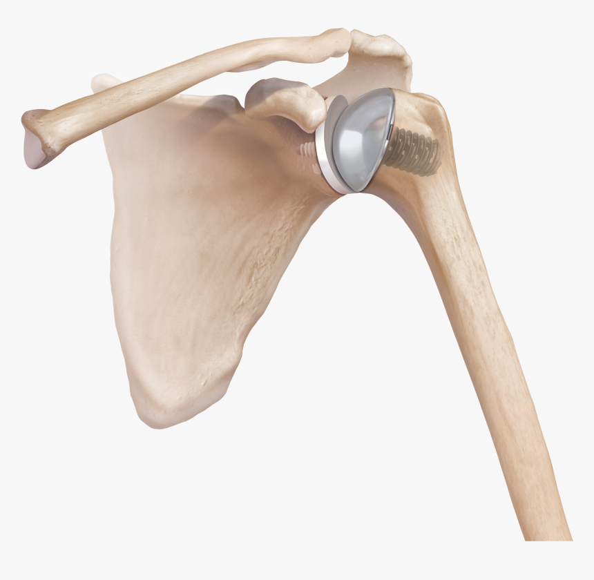 Wood, HD Png Download